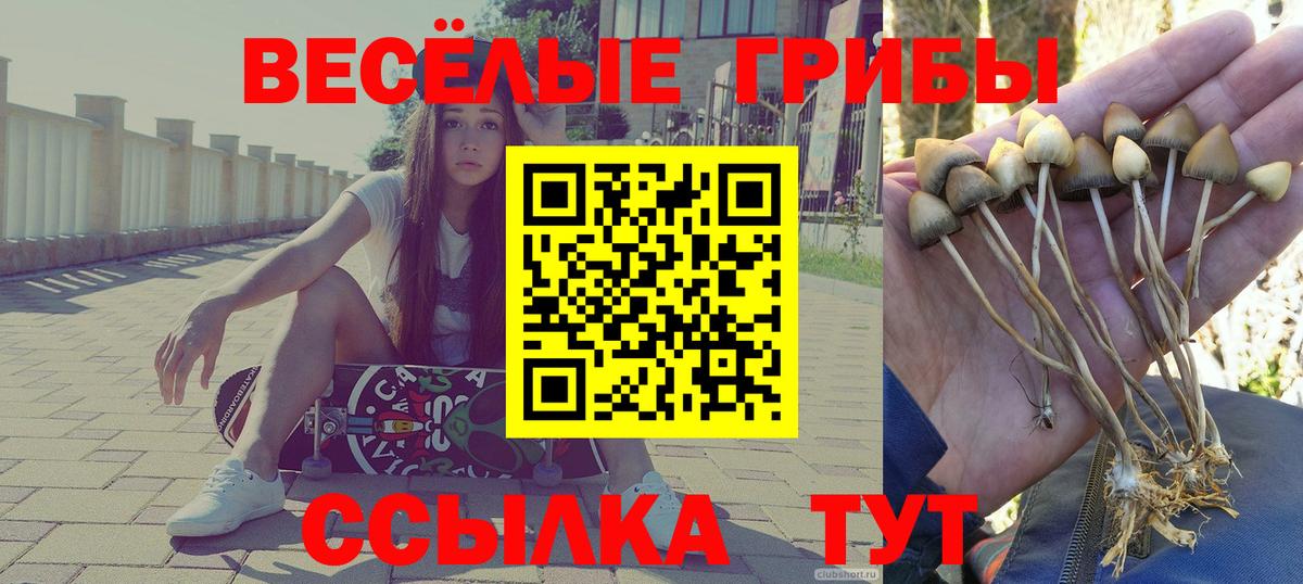 Нягань  наркотики  Псилоцибиновые грибы мухоморы  Вход с VPN  Галлюциногенные грибы MAGIC MUSHROOMS 